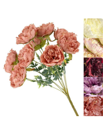 MAZZO G. PEONIE FRESH SPRING 63053