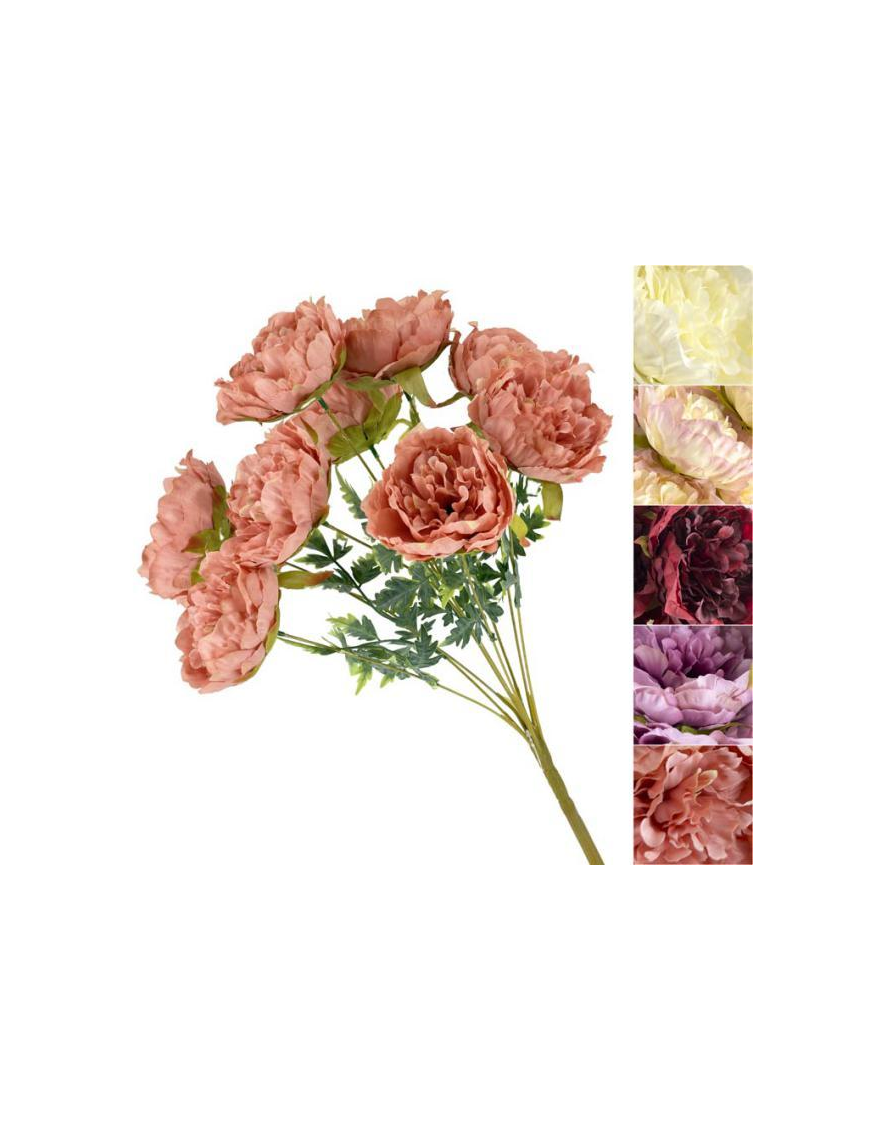 MAZZO G. PEONIE FRESH SPRING 63053