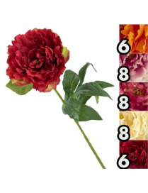 STELO   P. PEONIA ROYAL 67cm 63073