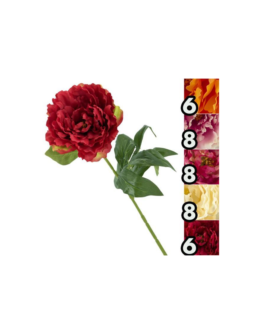 STELO   P. PEONIA ROYAL 67cm 63073