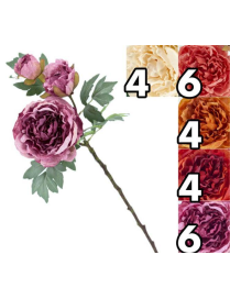 STELO   P. PEONIA ROYAL 64cm 63074
