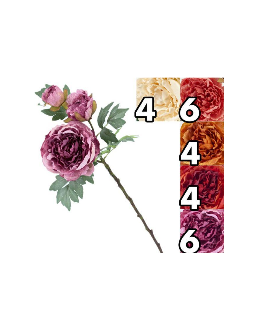 STELO   P. PEONIA ROYAL 64cm 63074
