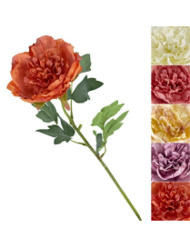 STELO   P. PEONIA ROYAL 62cm 63062