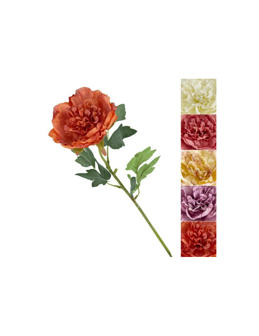 STELO   P. PEONIA ROYAL 62cm 63062