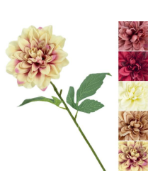 STELO   P. DALIA FRESH SPRING 60cm 63052