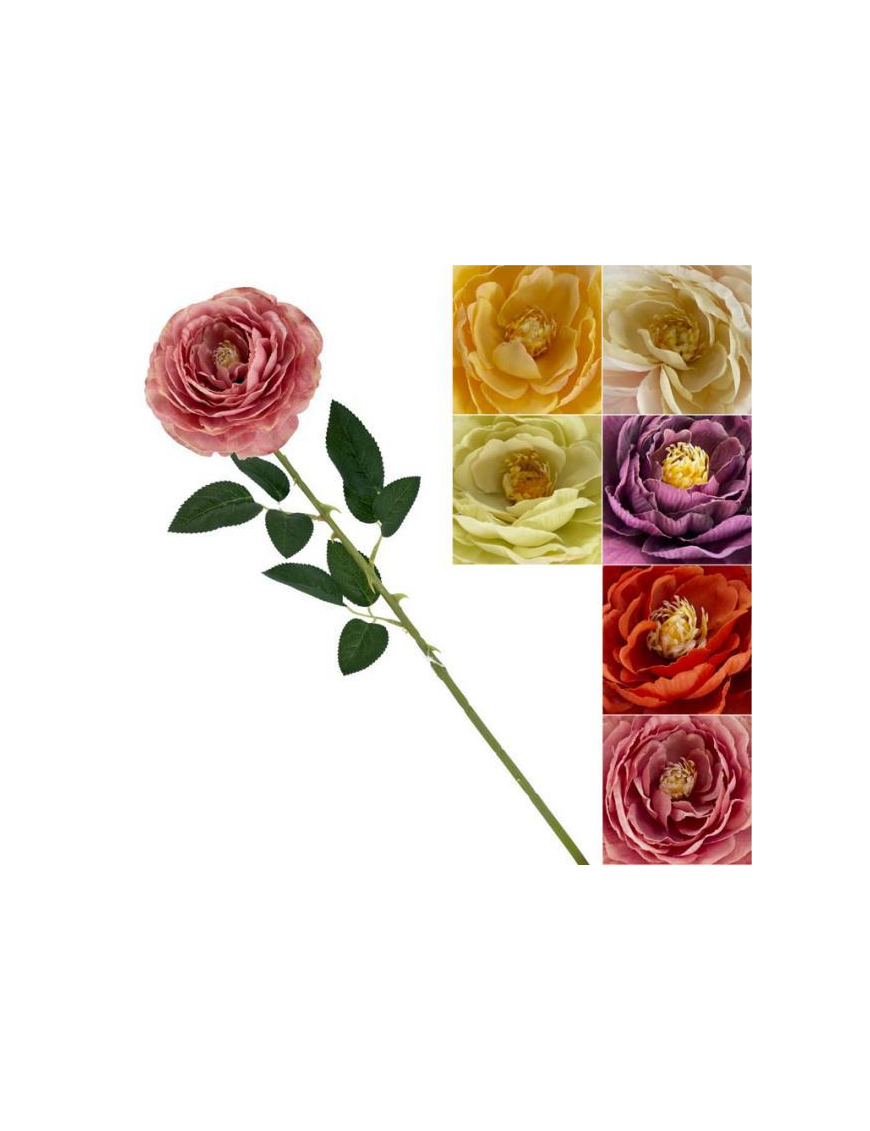 STELO   P. PEONIA SPRING 70cm 63061