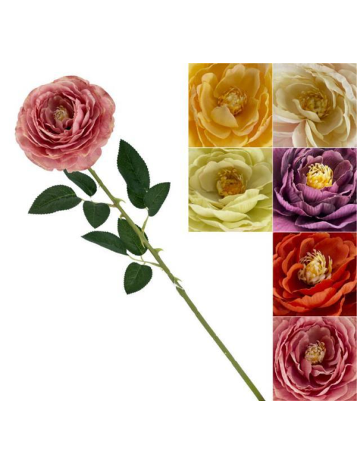 STELO   P. PEONIA SPRING 70cm 63061