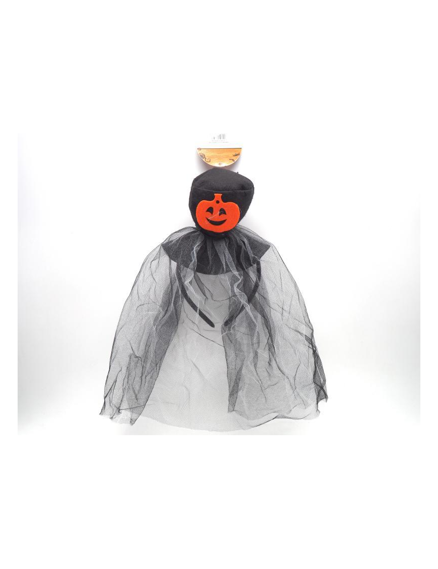 CERCHIETTO CON CAPPELLO E VELO