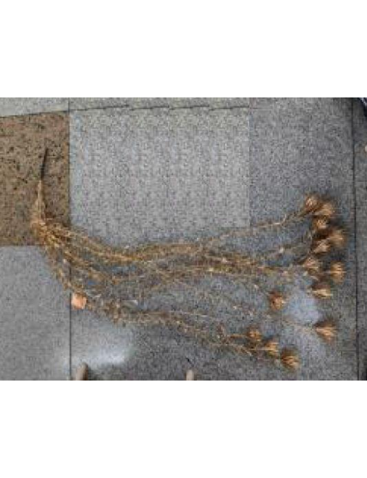 METAL. ORO CADENTE 110cm 73350
