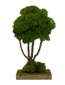 ALBERO 14cm PINO LICHENE SINGOLO