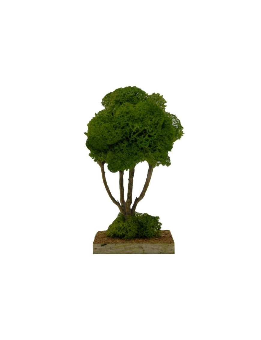 SINGLE LICHEN PINE TREE 14cm