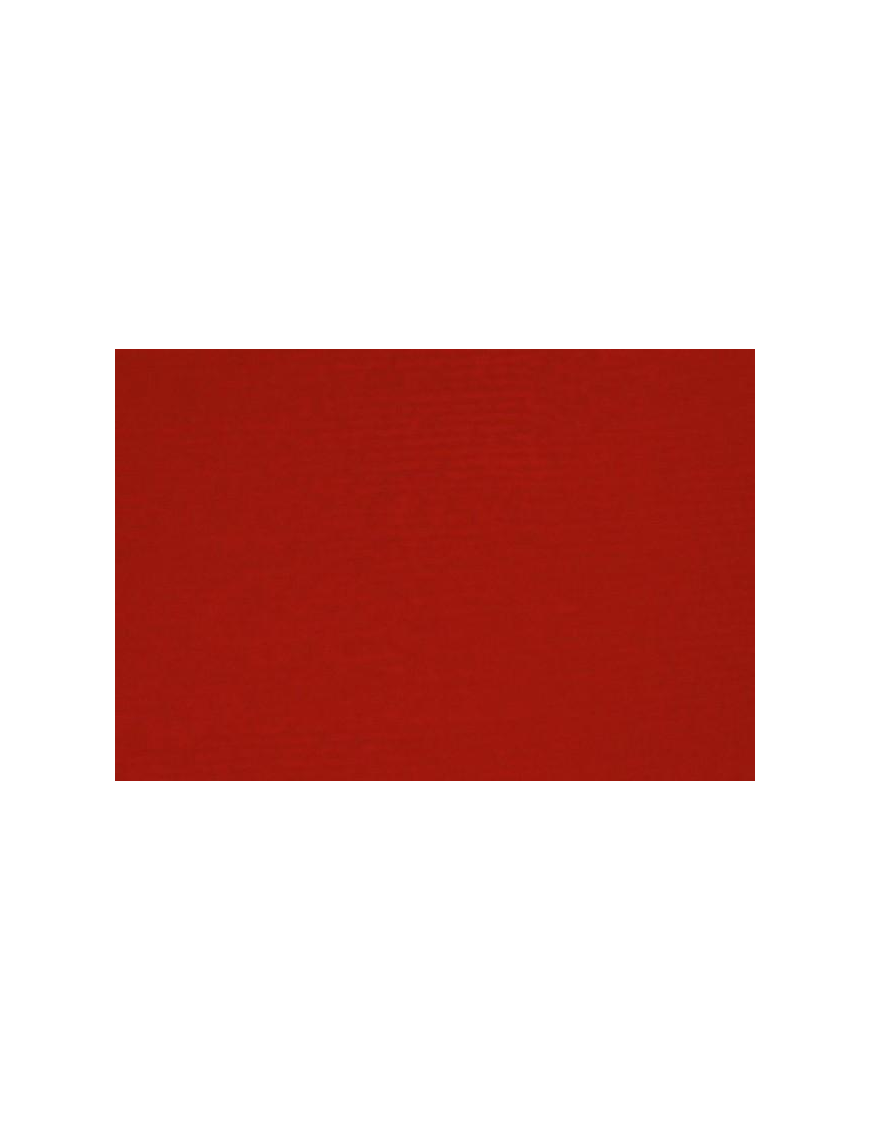 POLICARTA BUSTE ROSSO 25x40 CENTIMETRI 50 PEZZI