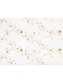 FOGLIO STELLA ORO 100x130 cm 50pz