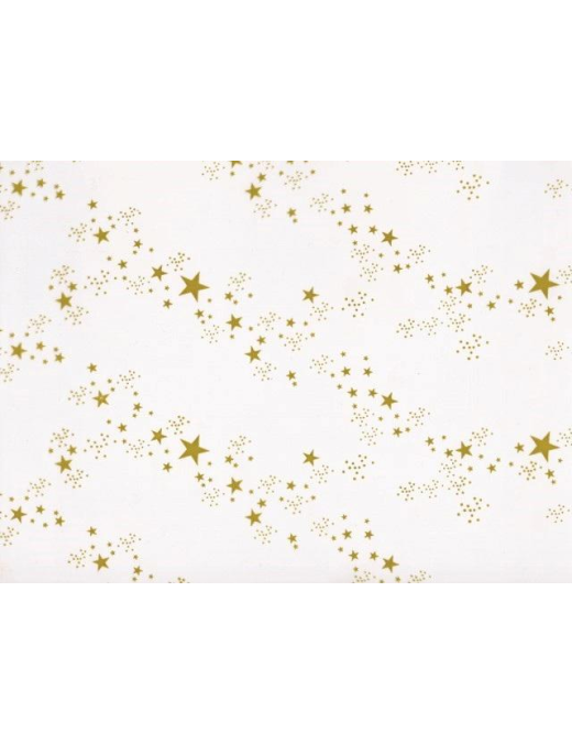 FOGLIO STELLA ORO 100x130 cm 50pz