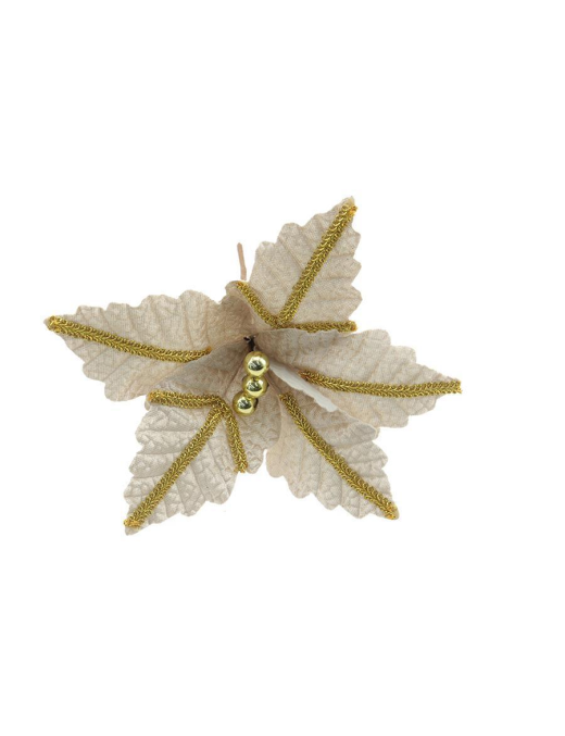 FIORE CHAMPAGNE SMALL