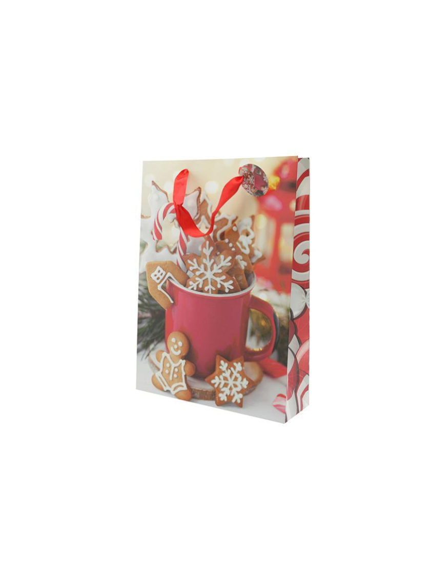 GIFT ENVELOPE 18x10x23 CENTIMETERS