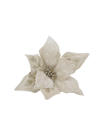 FIORE GAMBO CORTO CHAMPAGNE