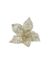 FIORE GAMBO CORTO CHAMPAGNE