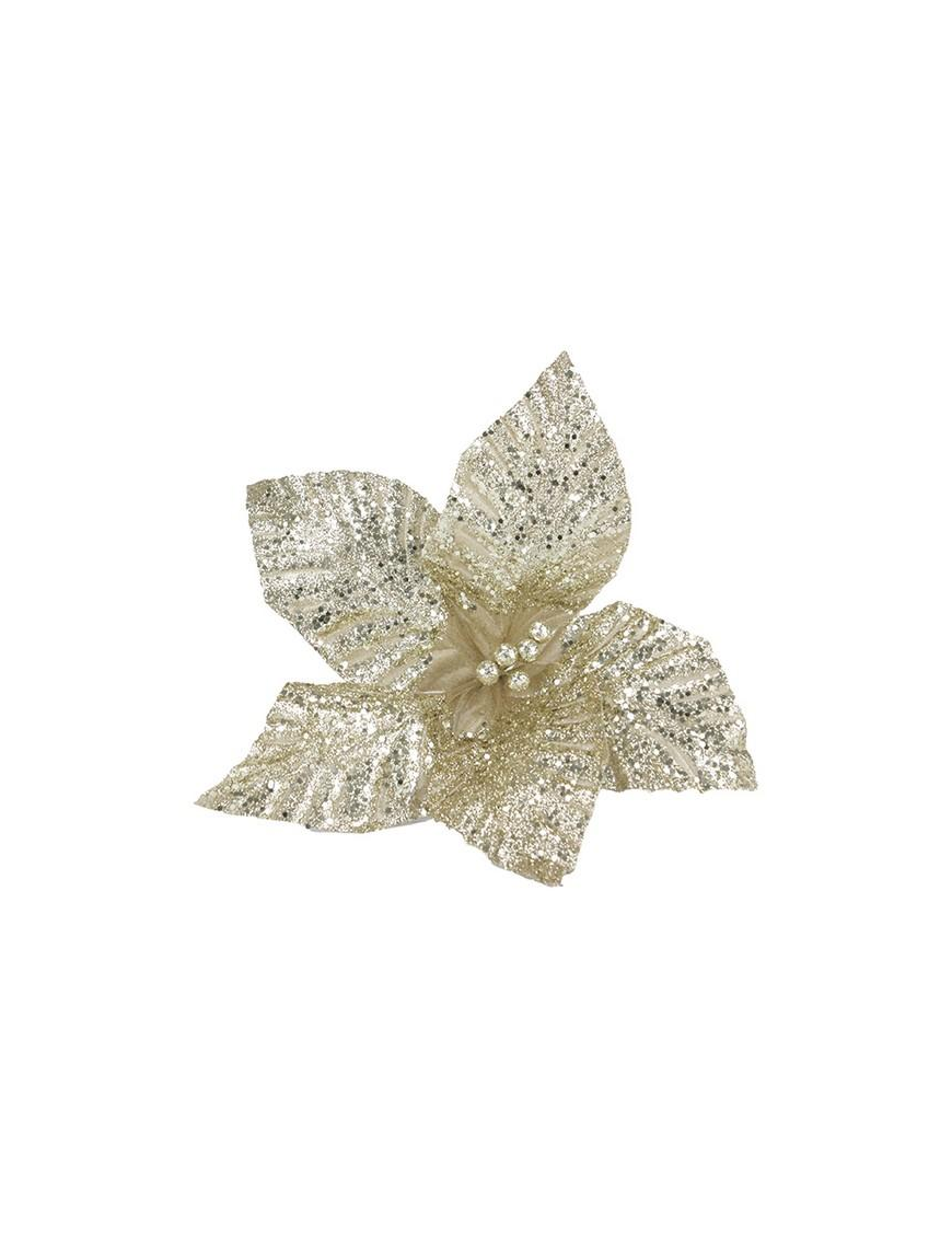 FIORE GAMBO CORTO CHAMPAGNE