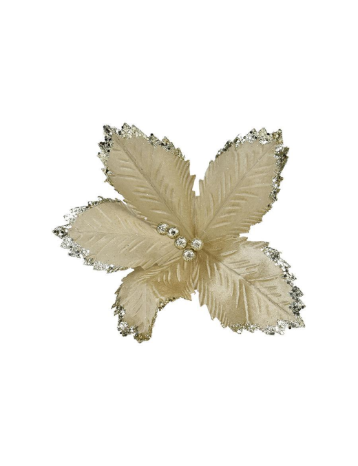 FIORE GAMBO CORTO CHAMPAGNE