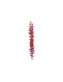 PICK BACCHE ROSSE