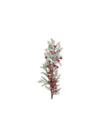 PICK BERRIES AND SNOW