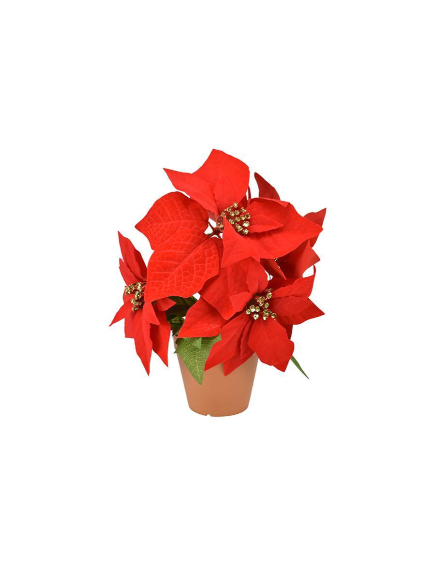 STELLA DI NATALE ROSSO PIANTA 32cm