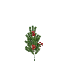 PICK CON BACCHE 65cm