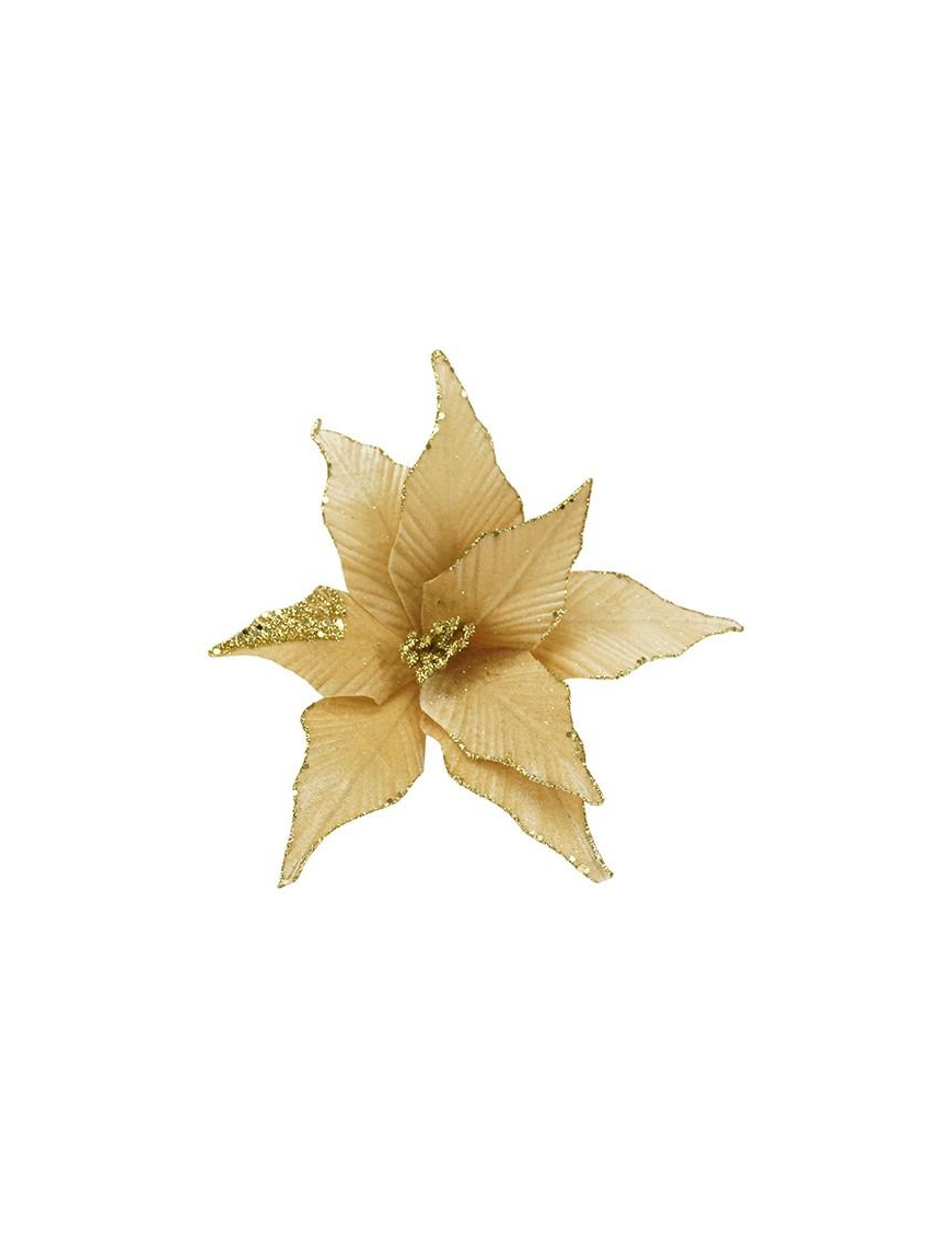 M.W13-261316 FIORE GAMBO CORTO 8P PANNA
