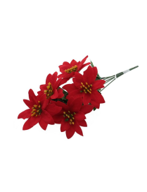 STELLA DI NATALE ROSSO MAZZO 41052489