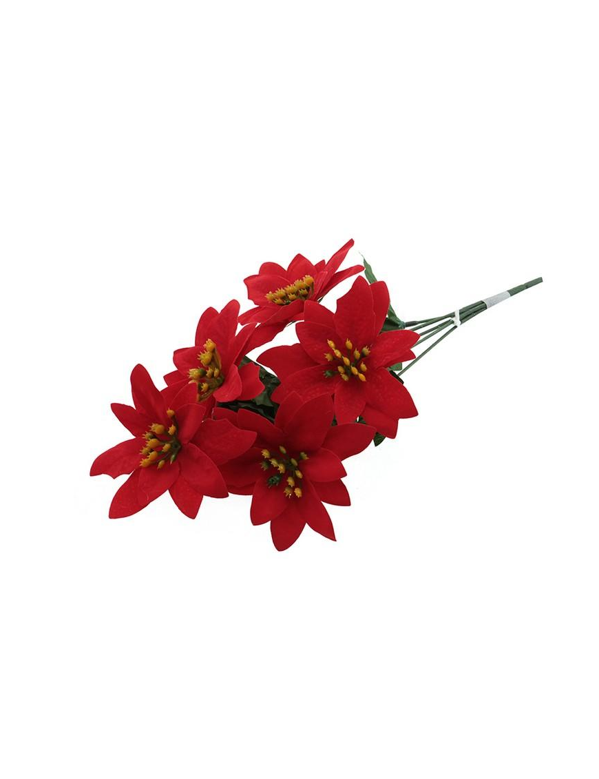 STELLA DI NATALE ROSSO MAZZO 41052489