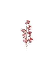 PICK RAMO BACCHE ROSSO 71cm 41053785