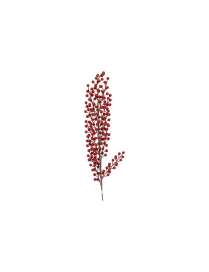 PICK RAMO BACCHE ROSSO 105cm 50556477