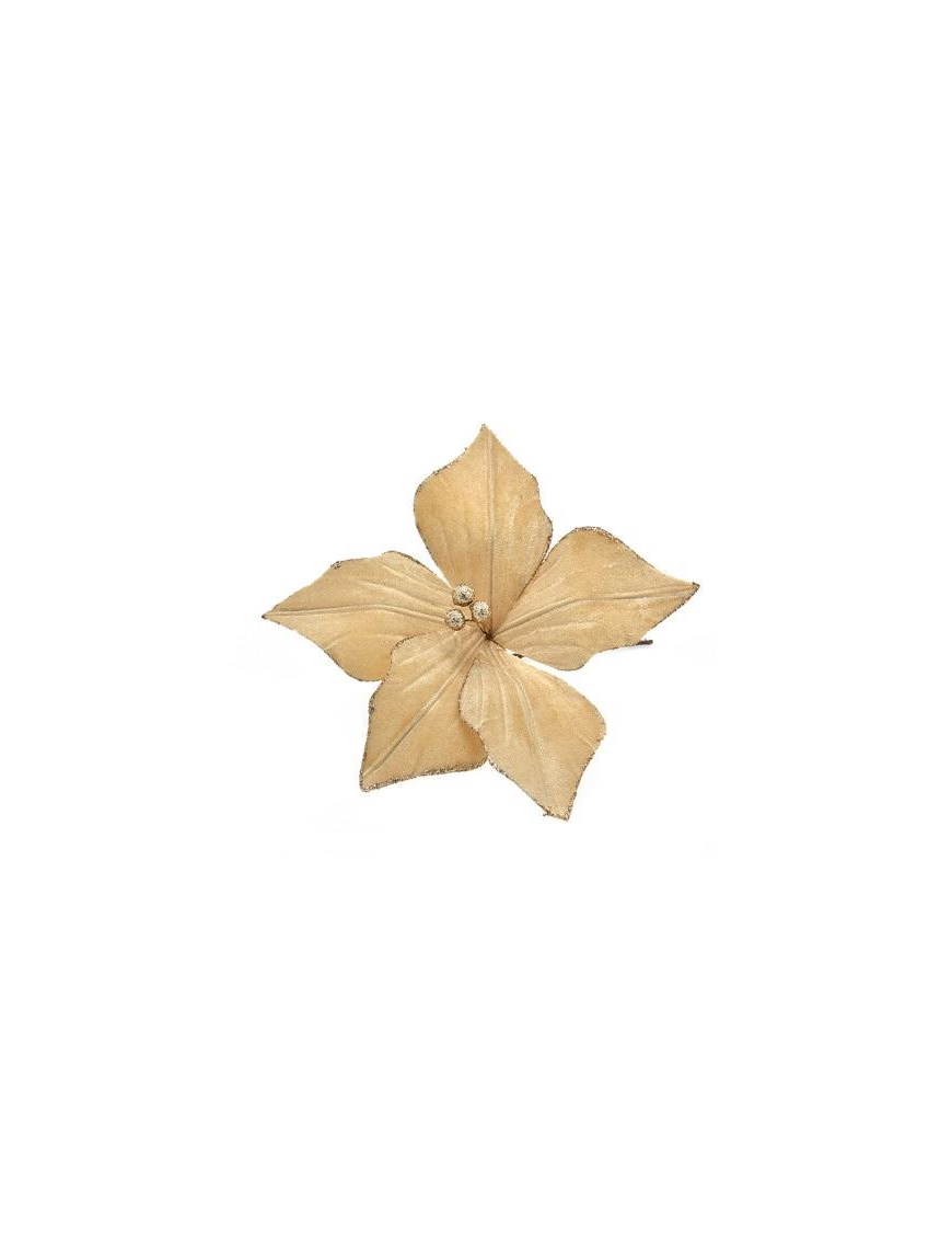 M.91020 FIORE SMALL CHAMPAGNE 30616268$$