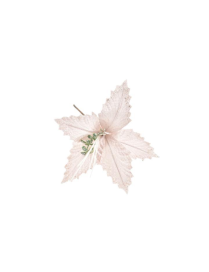 SMALL PINK FLOWER