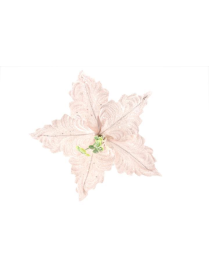 SMALL PINK FLOWER