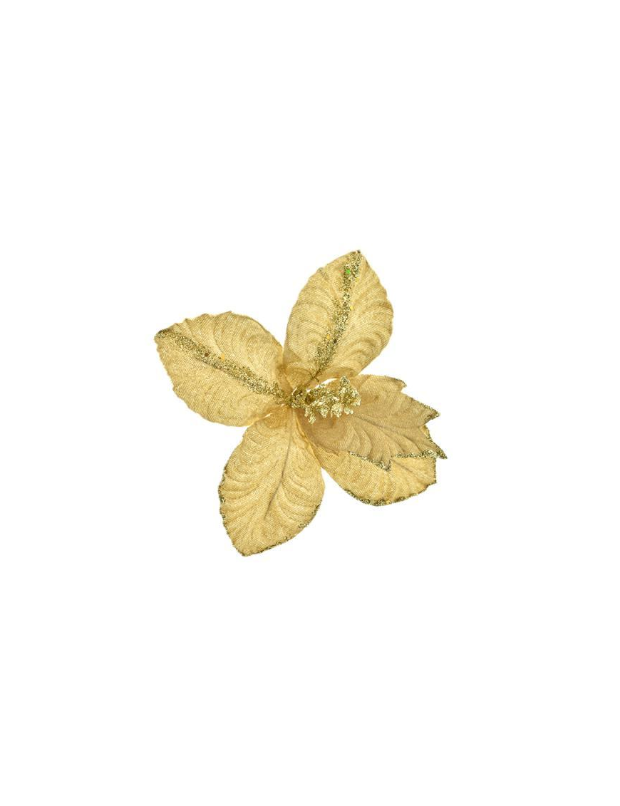 SMALL CREAM FLOWER