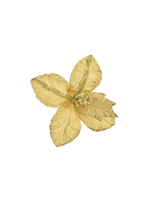 FIORE PANNA SMALL