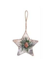DECORATION APPENDINO STELLA 8cm N207$$