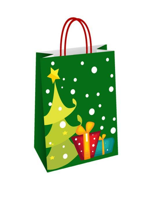 CHRISTMAS SHOPPER CHICCO 23x10x29cm
