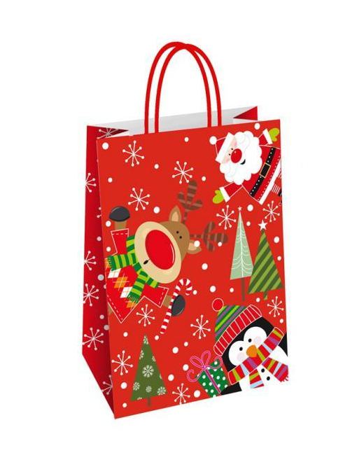 CHRISTMAS SHOPPER LEO 36x12x41cm
