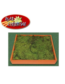 SATIN MOSS IN BOX 350 GRAMS