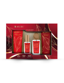 4-piece GIFT SET WOMEN'S PERFUME 3