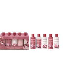 SET REGALO 5pz BODY WASH 100ml 62755
