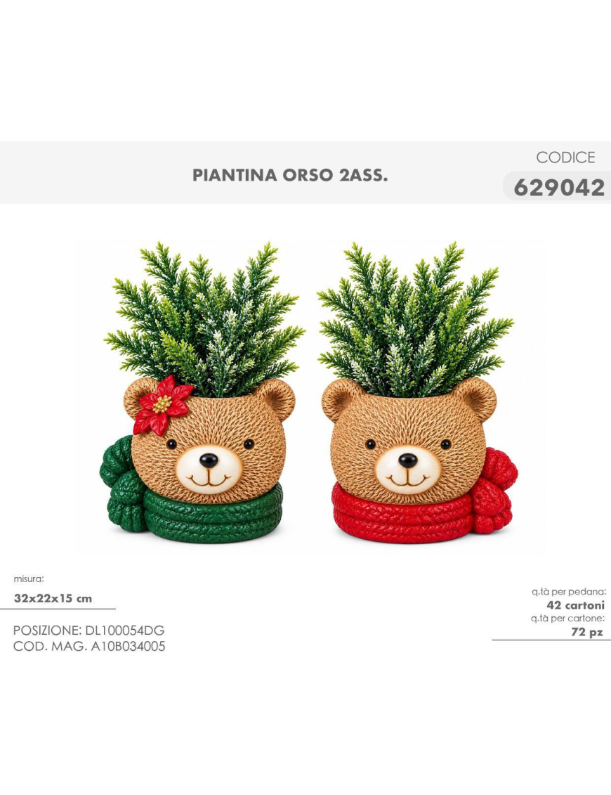 PIANTINA C/VASO  ORSO 15cm 629042