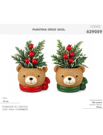 PIANTINA C/VASO  ORSO 16cm 629059
