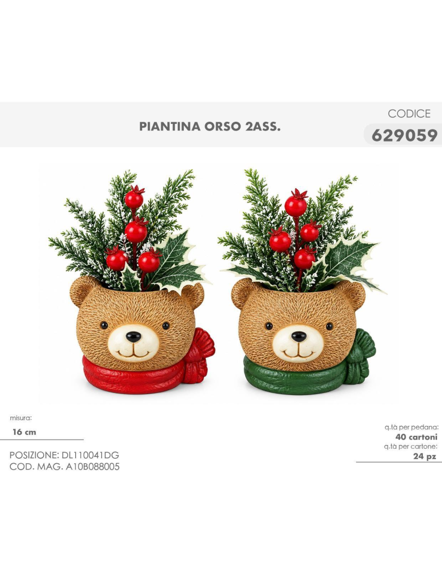 PIANTINA C/VASO  ORSO 16cm 629059